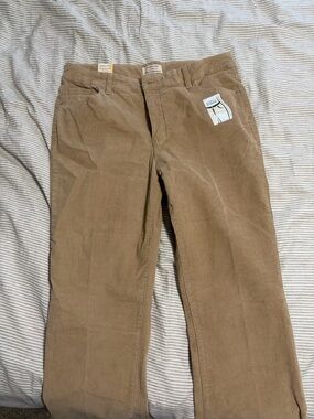 Corduroy Pant bundle
